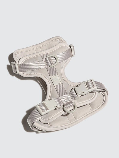 Shop Wild One Pet Harness In Grey