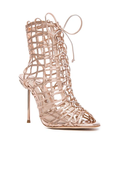 Shop Sophia Webster Delphine Leather Booties In Gold