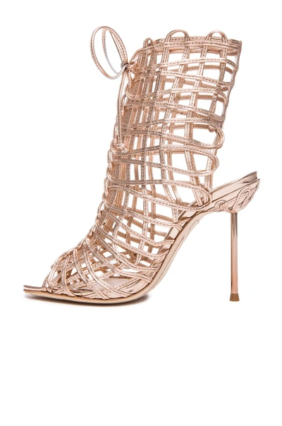 Shop Sophia Webster Delphine Leather Booties In Gold