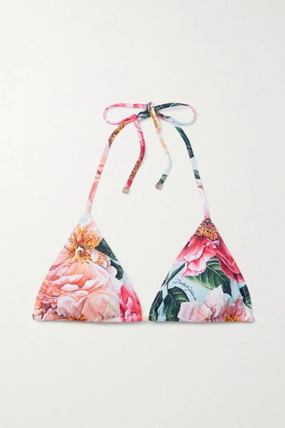 Shop Dolce & Gabbana Floral-print Triangle Bikini Top In Pink