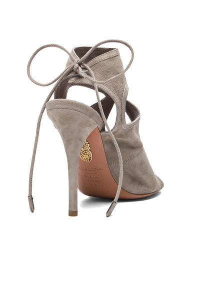 Shop Aquazzura Sexy Thing Suede Heels In Light Grey