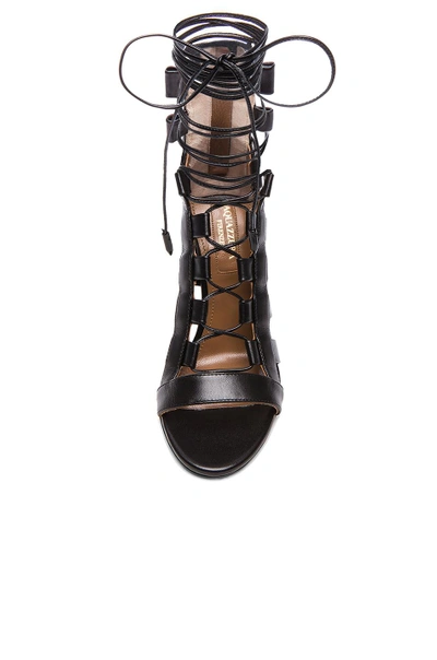 Shop Aquazzura Amazon Leather Lace Up Sandals In Black