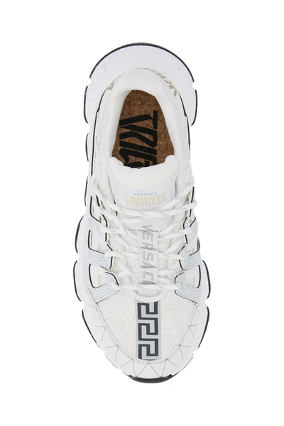 Shop Versace Trigreca Sneakers In Bianco Oro