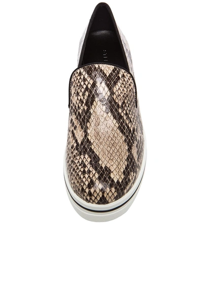Shop Stella Mccartney Python Embossed Faux Leather Creepers In Dust & Black