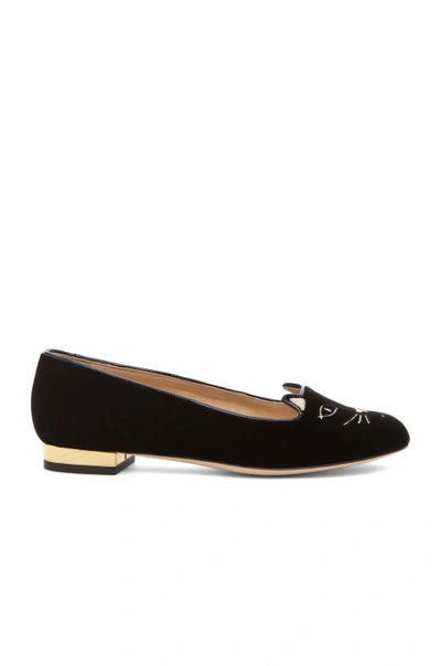 Charlotte Olympia Kitty Velvet Flats In Black