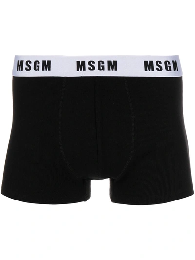 Shop Msgm Logo Waistband Briefs In Black