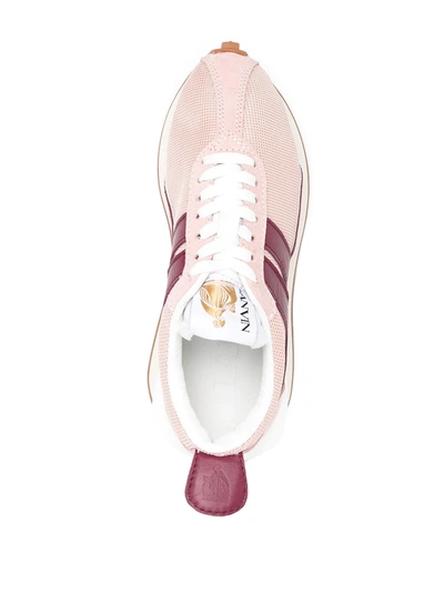 Shop Lanvin Bumpr Logo Low-top Sneakers In Pink