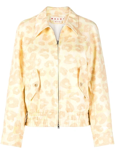 Shop Marni Leopard Print Bomber Jacket In Yellow