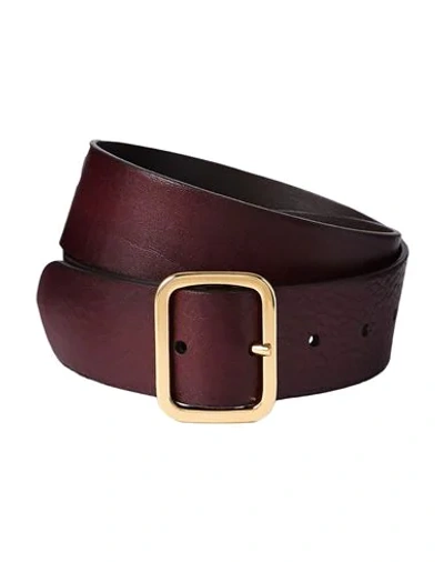 Shop Anderson's Belts In Dark Brown
