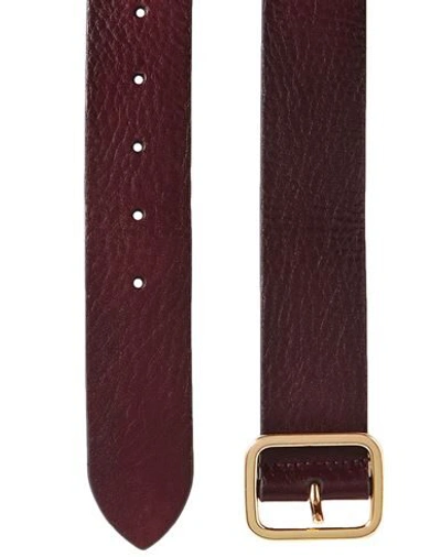 Shop Anderson's Belts In Dark Brown