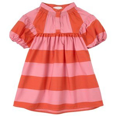 Shop Stella Mccartney Kids Pink Striped Dress In Red