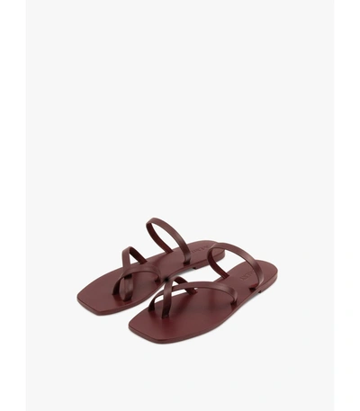 Shop A.emery The Colby Leather Sandal In Rust