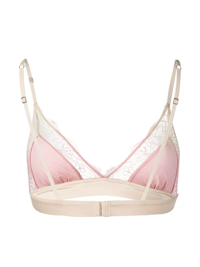 Shop Love Stories Lace Detail Bra In Pink
