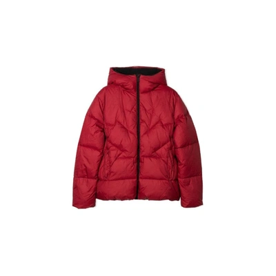 Shop Dsquared2 Padded Jacket In Red