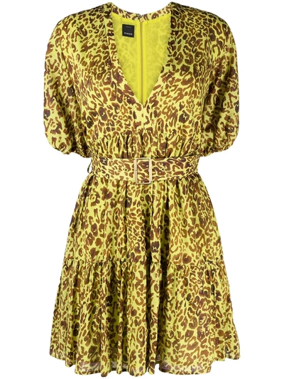Shop Pinko Leopard-print Flared Dress In Green