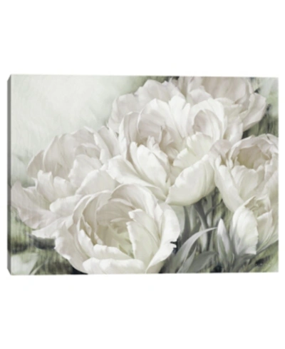 Shop Fine Art Canvas Angelique Tulips Ii White By Igor Levashov Canvas Art Print In Multi