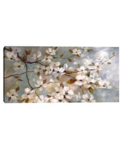 Shop Fine Art Canvas Blossoms Of May Panel By Nan Canvas Art Print In Multi