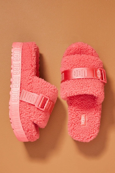 Shop Ugg Fluffita Slippers In Pink