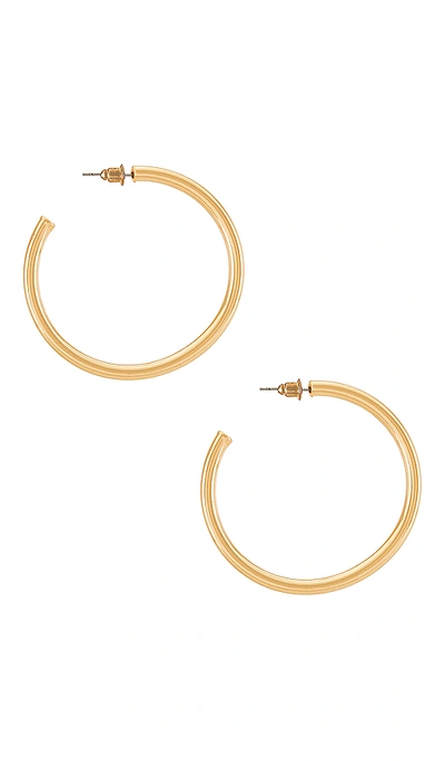 Shop Casa Clara Annie Hoop Earring In Gold