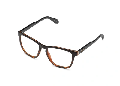 Shop Quay Hardwire In Black To Tortoise,clear Bl