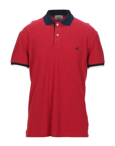 Shop Brooksfield Man Polo Shirt Red Size 40 Cotton, Elastane