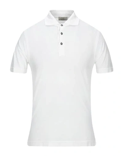 Shop Abkost Polo Shirts In White