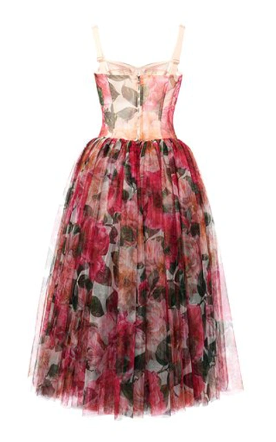 Shop Dolce & Gabbana Women's Camellia-print Tulle Bustier Midi Dress In Floral
