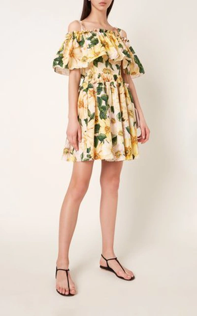Shop Dolce & Gabbana Women's Camellia-print Cotton Off-the-shoulder Mini Dress In Floral