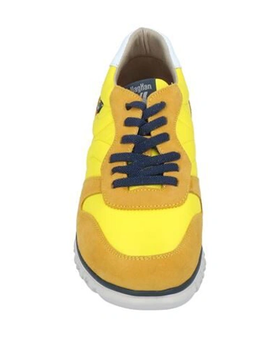 Callaghan Sneakers In Yellow