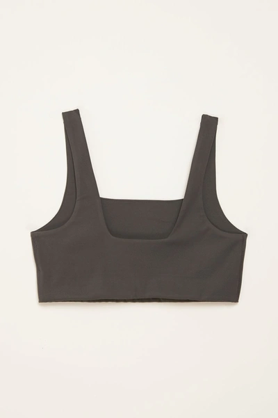 Girlfriend Collective Moon Tommy Cropped Bra In Gray