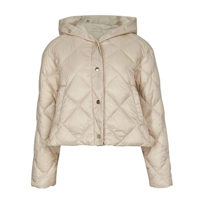 Shop Max Mara Cisoft Coat In Albino