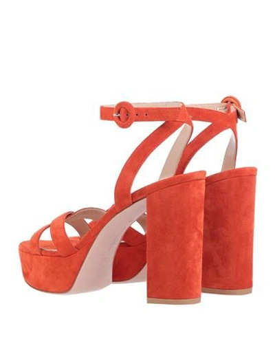 Shop Gianvito Rossi Woman Sandals Orange Size 10 Leather