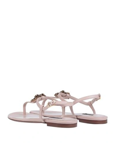 Shop Dolce & Gabbana Toe Strap Sandals In Pink