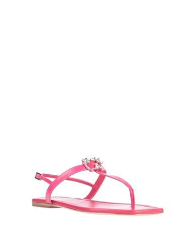 Roger Vivier Toe Strap Sandals In Fuchsia