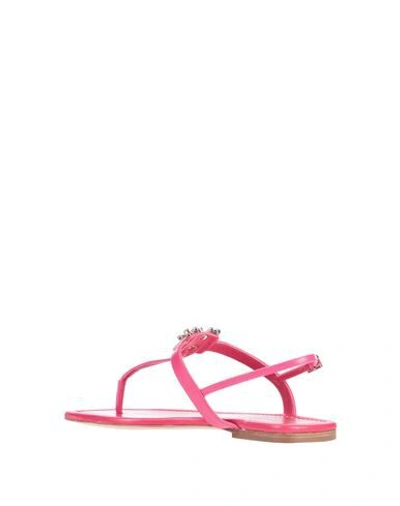 Roger Vivier Toe Strap Sandals In Fuchsia