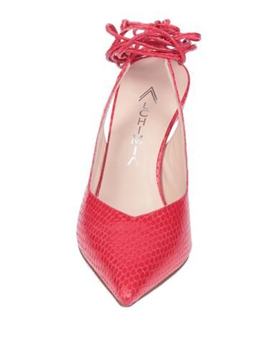 Shop Alchimia Napoli Pumps In Red