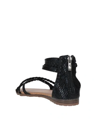 Shop Caffenero Sandals In Black