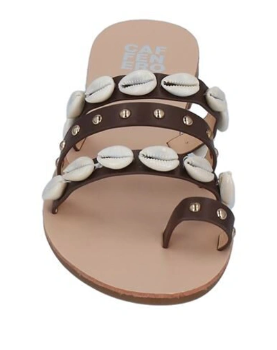 Shop Caffenero Woman Toe Strap Sandals Dark Brown Size 8 Textile Fibers