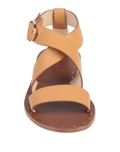 Shop Doucal's Woman Sandals Tan Size 5 Soft Leather In Brown