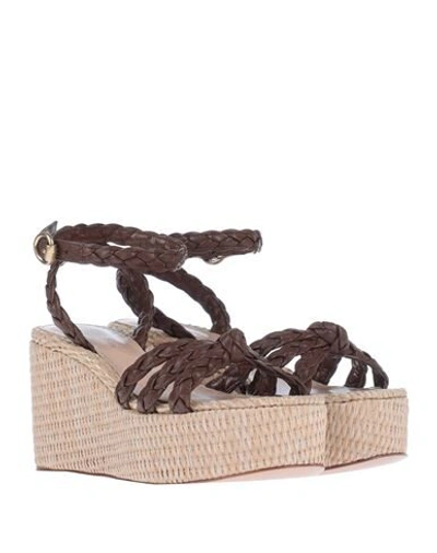 Gianvito Rossi Sandals In Dark Brown