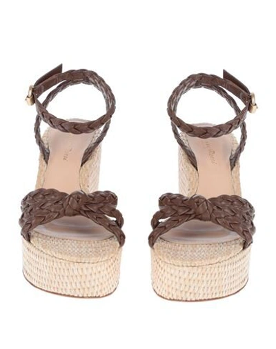 Gianvito Rossi Sandals In Dark Brown