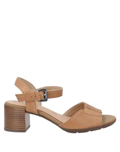 Shop Geox Sandals In Camel