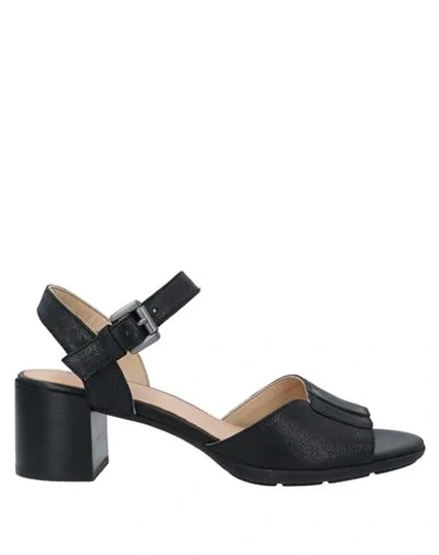 Shop Geox Sandals In Black