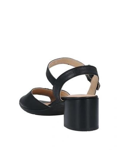 Shop Geox Sandals In Black