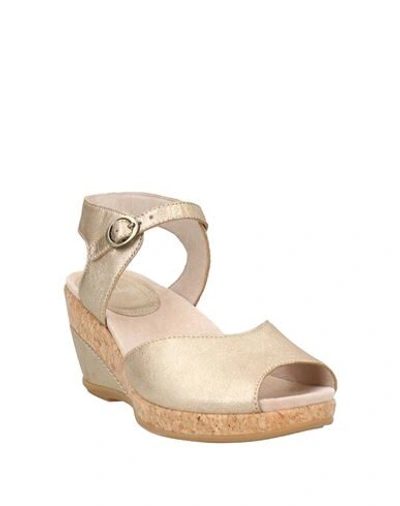 dansko gold sandals