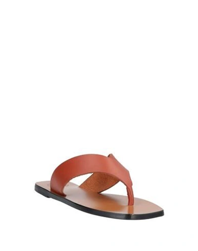 Shop Atp Atelier Toe Strap Sandals In Brown