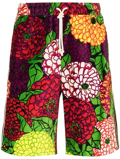 Shop Gucci X Ken Scott Floral-print Track Shorts In Red