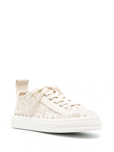 Shop Chloé Lace Embroidery Low-top Sneakers In Neutrals