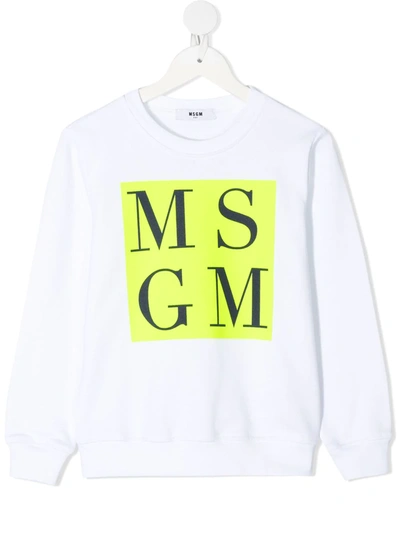 Shop Msgm Box Logo-print Cotton Sweatshirt In White