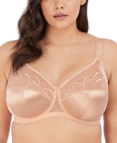 Shop Elomi Cate Full Figure Underwire Lace Cup Bra El4030, Online Only In Latte